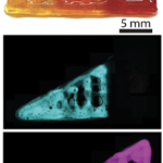 3D Printed Customizable Hydrogel Shows Promise for Meniscus Injury Treatment