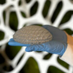 CollPlant and Stratasys Launch Pre-Clinical Study for Regenerative Breast Implants